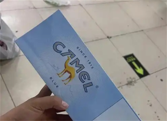 蓝骆驼多少钱