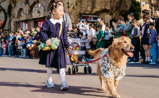 常州宠物嘉年华开幕,吸引众多铲屎官前往体验 常州宠物嘉年华开幕,吸引众多铲屎官前往体验