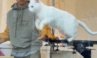 男子带猫咪去宠物店洗澡,猫咪脾气暴躁挠工作人员 男子带猫咪去宠物店洗澡,猫咪脾气暴躁挠工作人员