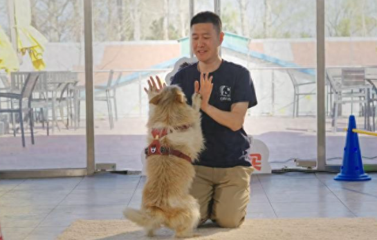 调查显示:83%的宠主认为宠物对心理健康有积极影响 调查显示:83%的宠主认为宠物对心理健康有积极影响