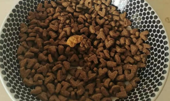 怡亲0谷安心猫粮，从无谷猫粮开始，低敏呵护爱宠健康！
