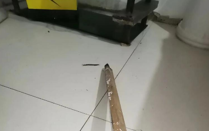 防虫防蜈蚣用什么药