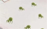 家里有螨虫怎么彻底消除