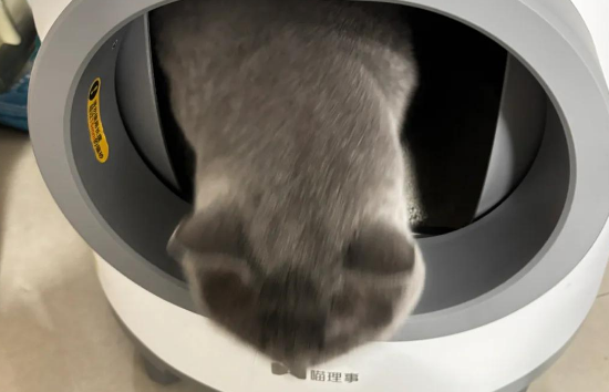 准备一个喵理事全自动的猫砂盆，让猫咪乐享生活！