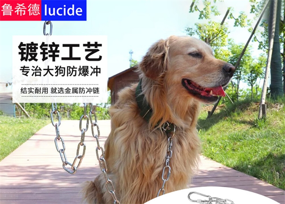 鲁希德牵引绳怎么戴 鲁希德牵引绳怎么戴
