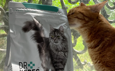 全方面测评希喂猫粮和凯锐思猫粮值得买吗?好吃吗? 全方面测评希喂猫粮和凯锐思猫粮值得买吗?好吃吗?