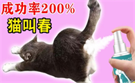 本元星猫咪禁情粉是什么成分