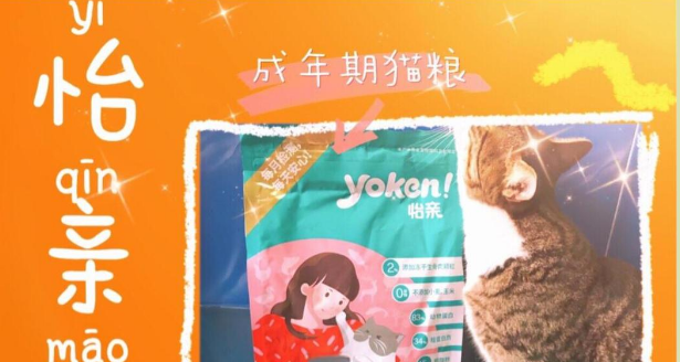 国产平价猫粮推荐:怡亲无谷猫粮! 国产平价猫粮推荐:怡亲无谷猫粮!