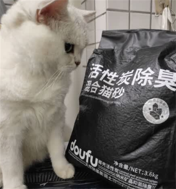 养猫省钱攻略!Doufu 猫砂如何用亲民价实现品质越级? 养猫省钱攻略!Doufu 猫砂如何用亲民价实现品质越级?