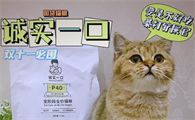 诚实一口猫粮:国产猫粮的骄傲!