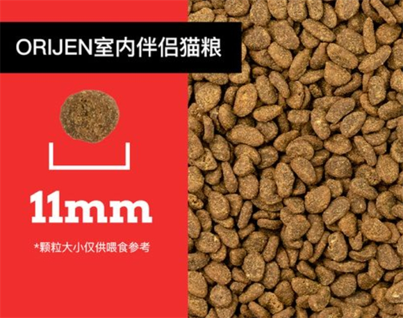 什么牌的猫粮比较好?渴望符合猫咪饮食天性更值得推荐 什么牌的猫粮比较好?渴望符合猫咪饮食天性更值得推荐