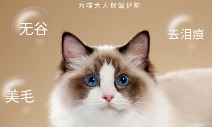 怡享扑扑全价低温烘焙猫粮特点解析~ 怡享扑扑全价低温烘焙猫粮特点解析~