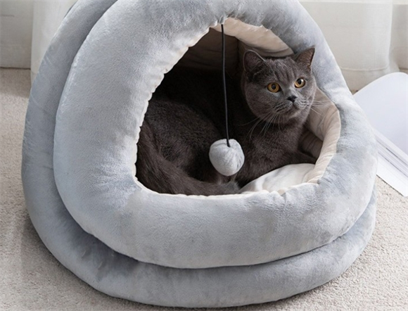 汤琪猫窝怎么消毒