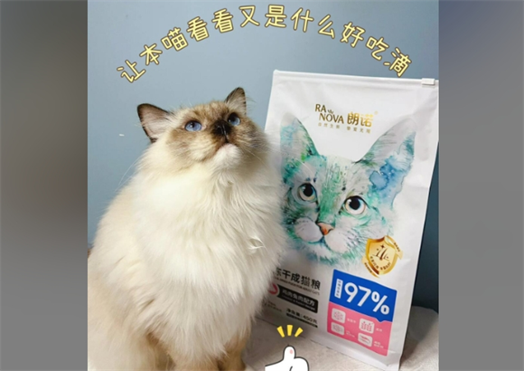朗诺冻干猫粮：用纯粹冻干，守护毛孩每一餐