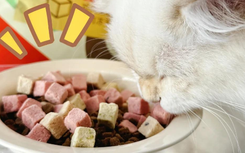 为爱猫精选:优倍滋猫粮的三大优势! 为爱猫精选:优倍滋猫粮的三大优势!