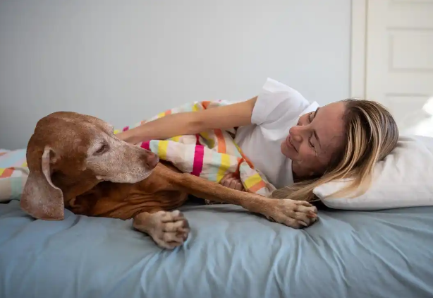 孕妇被狗咬,主人称狗咬的让狗道歉,暴露养宠责任缺失 孕妇被狗咬,主人称狗咬的让狗道歉,暴露养宠责任缺失