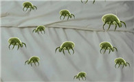 除螨虫的可以除疥虫吗