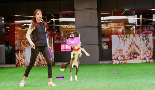 宠物经济火爆,多个宠物经济“首店”亮相 宠物经济火爆,多个宠物经济“首店”亮相