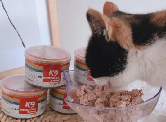 猫粮猫罐头选购指南：K9品牌全解析
