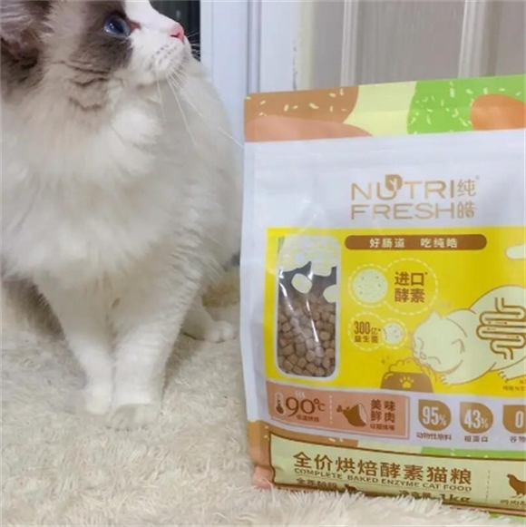 纯皓猫粮:圆润小猫咪的秘密武器 纯皓猫粮:圆润小猫咪的秘密武器