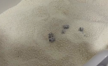 萌爪生活猫砂粉尘大吗