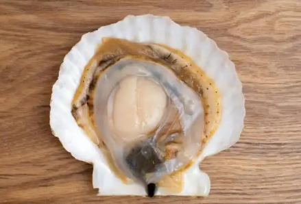扇贝黑黑的那一坨能吃吗