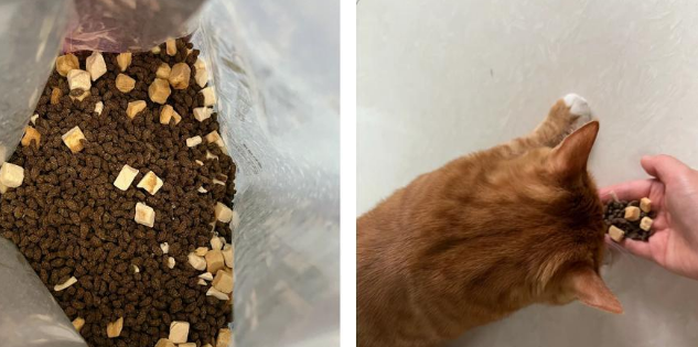 玫斯猫粮测评：营养丰富，猫咪超爱！