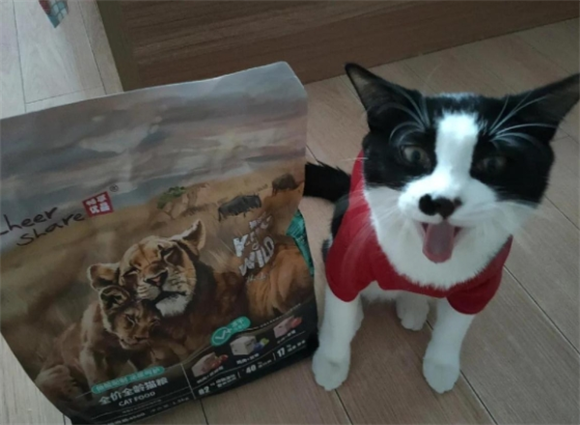 畅享优品K系列猫粮体验分享