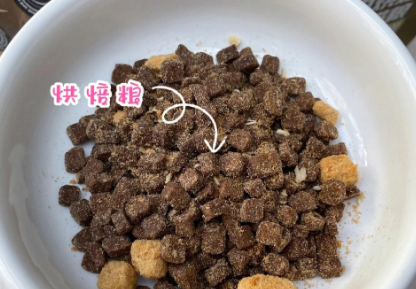 猫咪主食升级！K9烘焙粮大不同