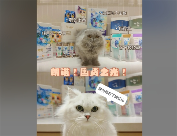 国货之光朗诺冻干，凭什么让万千铲屎官回购？