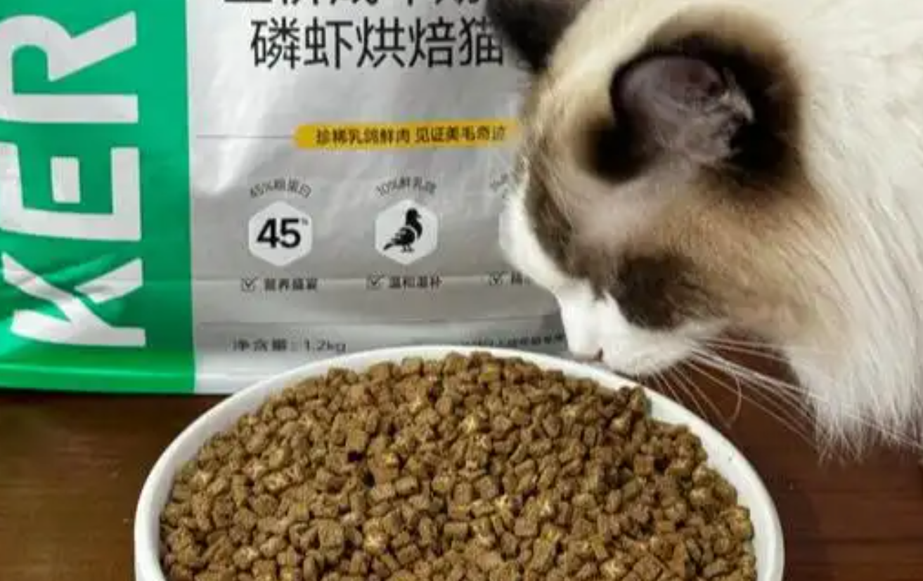 聚焦宠物毛发健康,KERES凯锐思最新研究成果有何亮点? 聚焦宠物毛发健康,KERES凯锐思最新研究成果有何亮点?