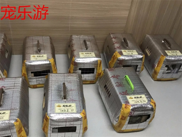 宠乐游宠物托运靠谱吗 宠乐游宠物托运靠谱吗