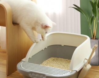 蒂乐森猫砂盆怎么样 蒂乐森猫砂盆怎么样