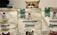 诚实一口猫粮评测:值得入手吗?