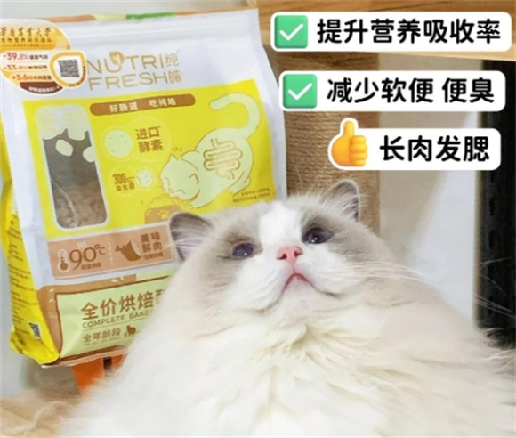 国产烘焙猫粮推荐:纯皓全价猫粮体验分享 国产烘焙猫粮推荐:纯皓全价猫粮体验分享