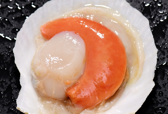 扇贝可食用的部分部分部分是哪一部分?