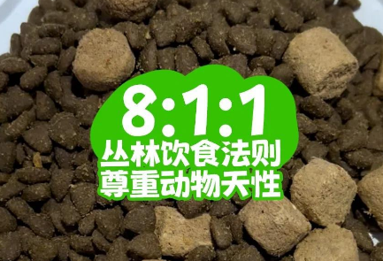 帕特猫粮:猫咪的健康美味之选 帕特猫粮:猫咪的健康美味之选