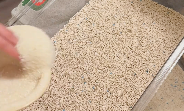 pidan膨润土猫砂：给爱猫洁净舒适的如厕体验