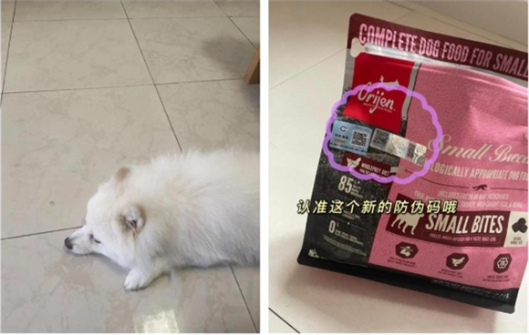 原始猎食渴望狗粮，营养美味！