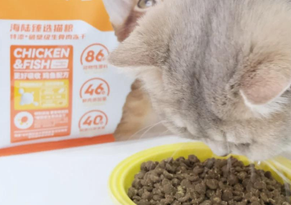 国产猫粮大揭秘:有鱼海陆臻选猫粮 国产猫粮大揭秘:有鱼海陆臻选猫粮