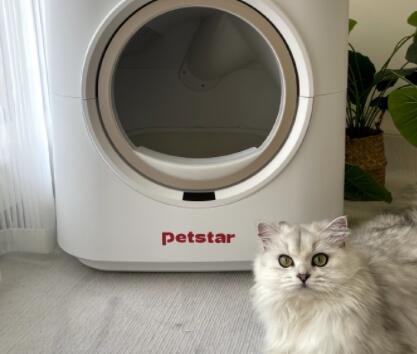 PETSTAR猫砂盆放在哪里合适 PETSTAR猫砂盆放在哪里合适