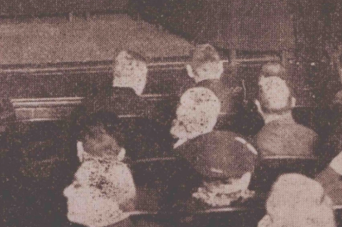 河豚计划是真是假 河豚计划是真是假