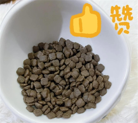 探索赛季勋章畅享优品猫粮的奥秘 探索赛季勋章畅享优品猫粮的奥秘