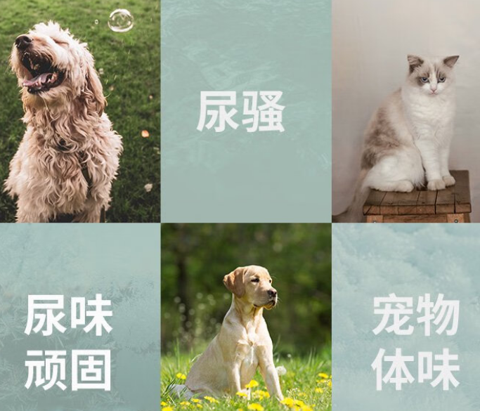 一撇宠物无香除臭剂，告别异味烦恼！