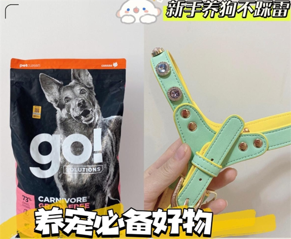 养宠必备｜超值狗狗好物分享（ARKIKA、养宠GO...）