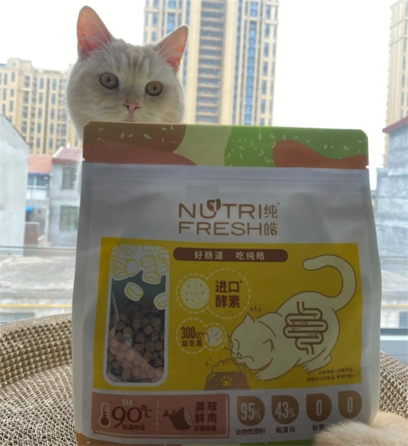 纯皓猫粮体验，猫咪新宠！
