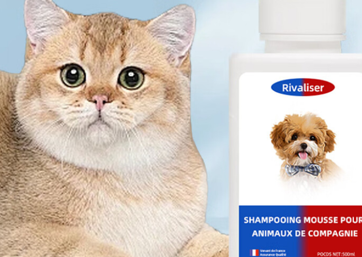 RIVALISER宠物干洗泡沫真的能洗干净吗 RIVALISER宠物干洗泡沫真的能洗干净吗
