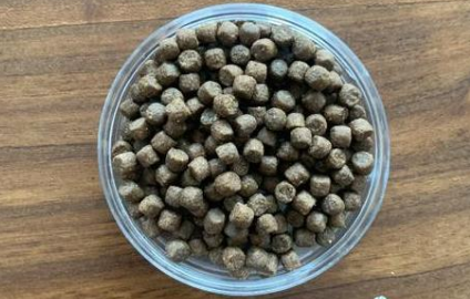 宠王府低温烘焙猫粮,猫咪健康成长秘诀! 宠王府低温烘焙猫粮,猫咪健康成长秘诀!