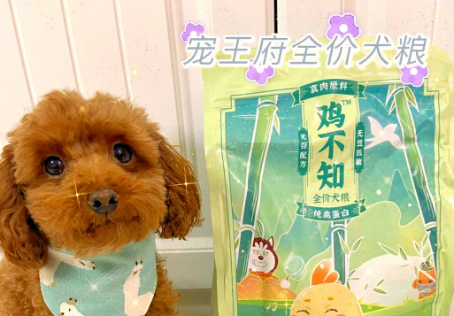 宠王府鸡不知全价犬粮:国产良心之选 宠王府鸡不知全价犬粮:国产良心之选