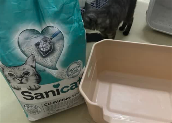 sanicat猫砂怎么样 sanicat猫砂怎么样